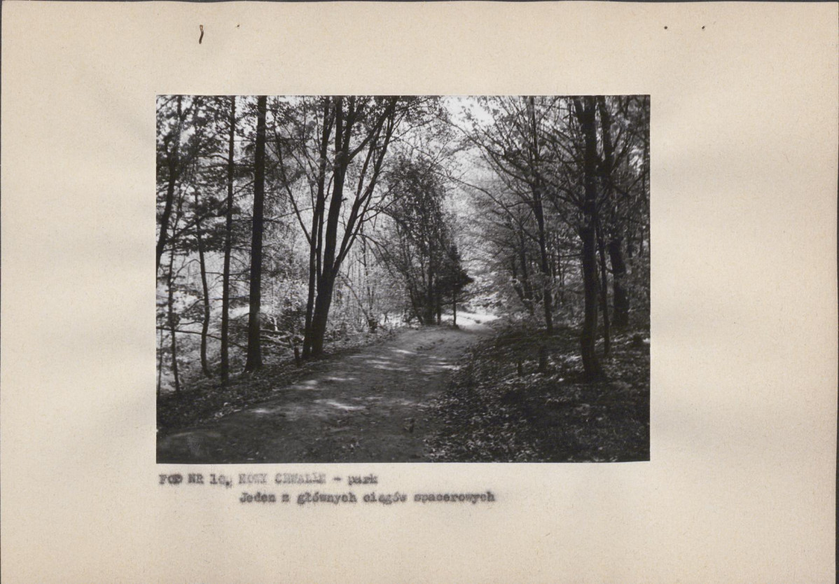 EP - Ewidencja parkowa, skan nr 28