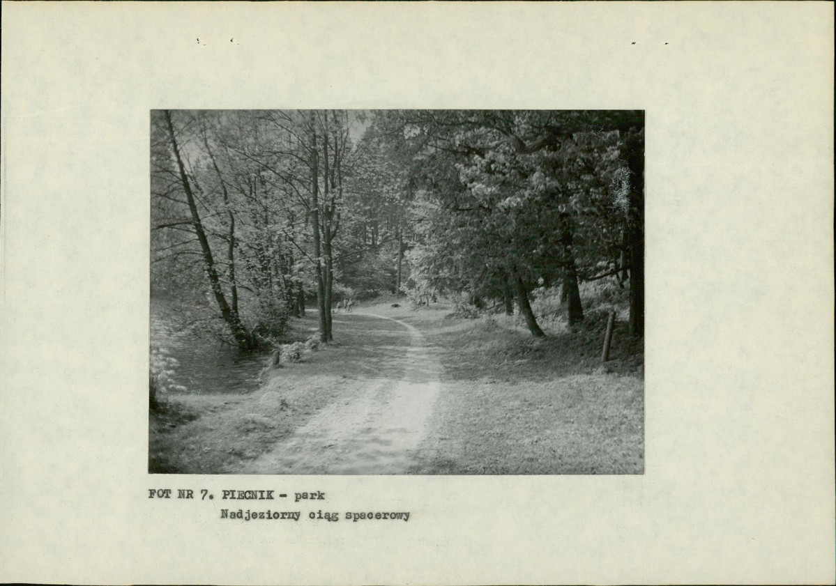 EP - Ewidencja parkowa, skan nr 23