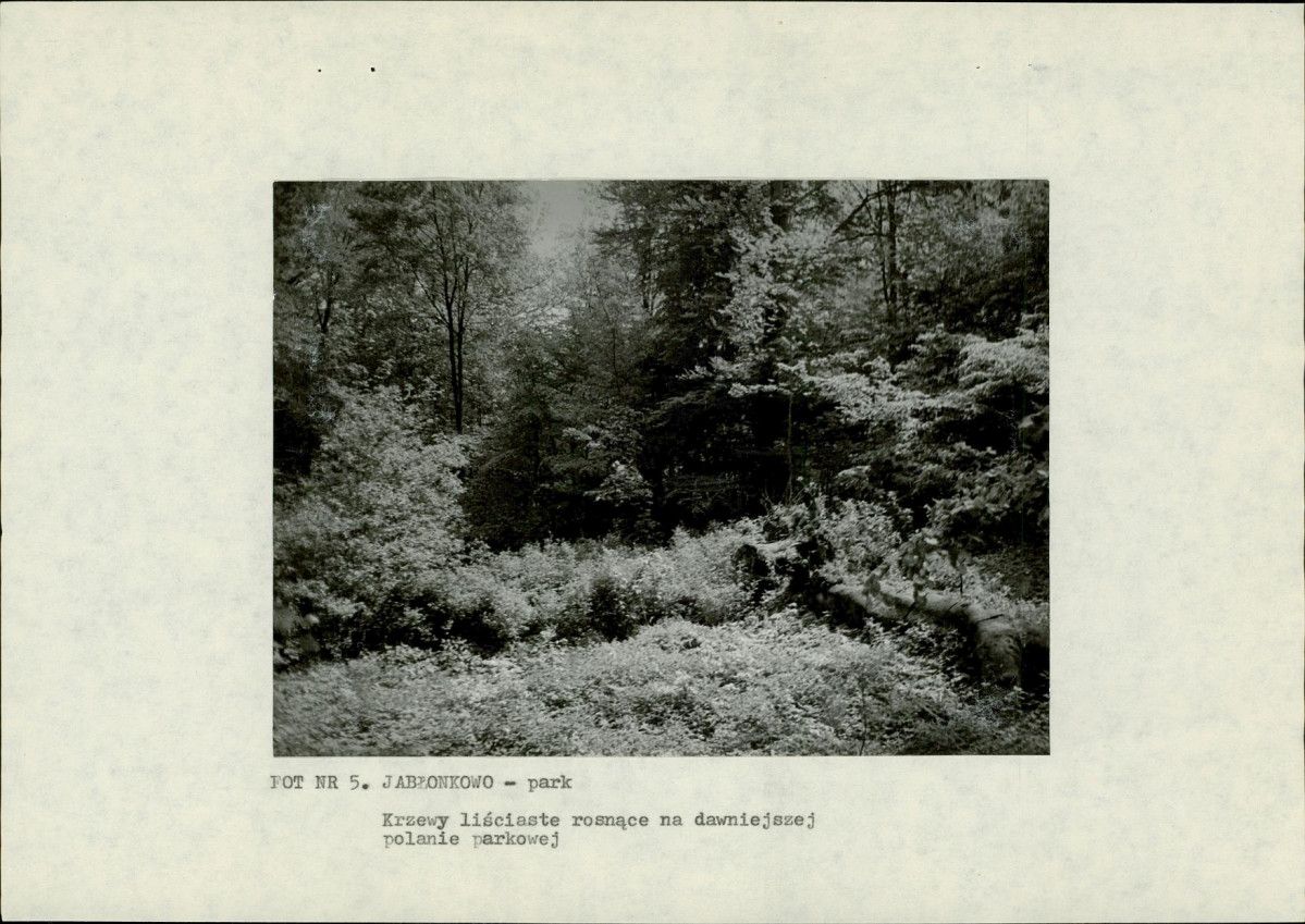 EP - Ewidencja parkowa, skan nr 20