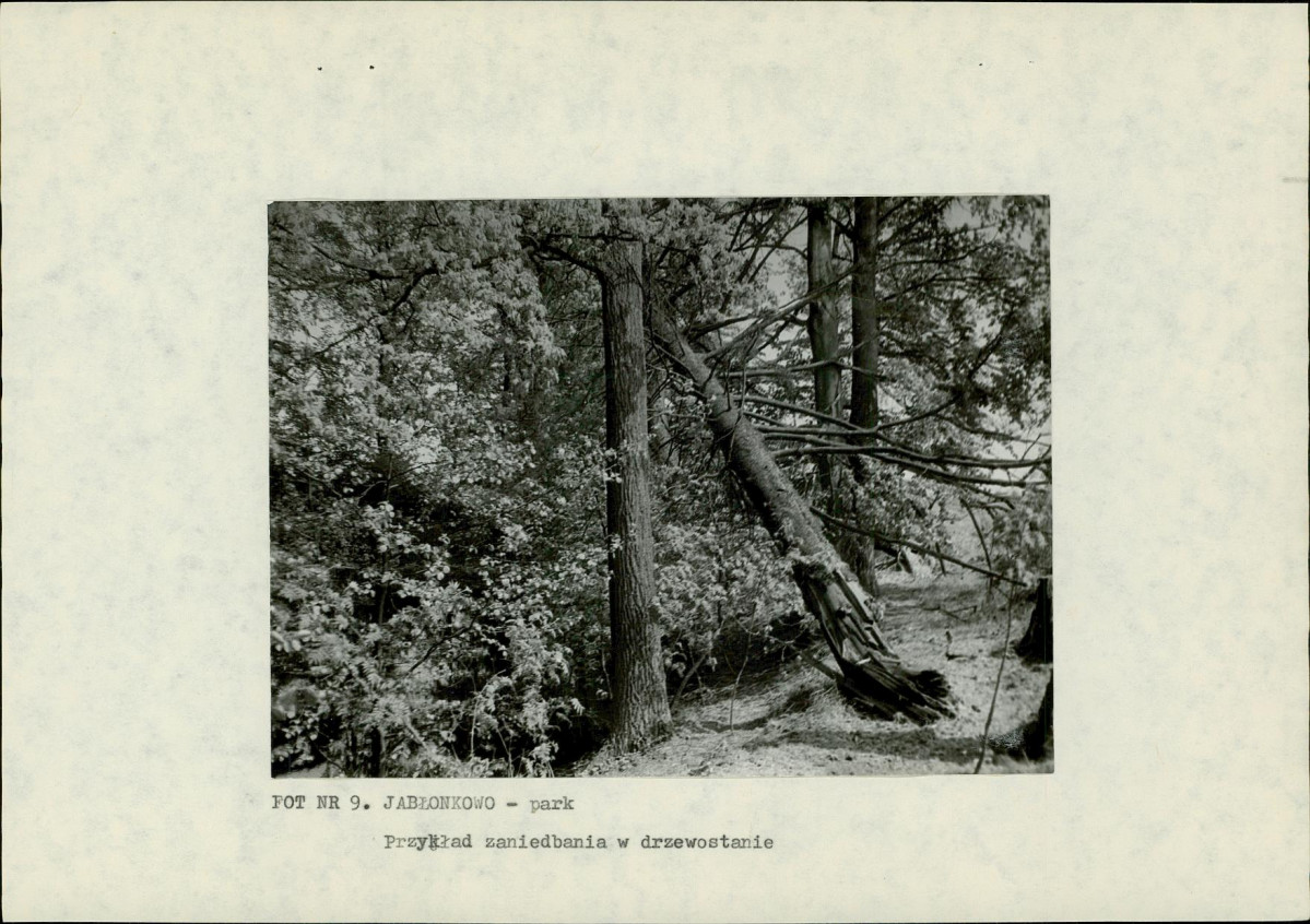 EP - Ewidencja parkowa, skan nr 24