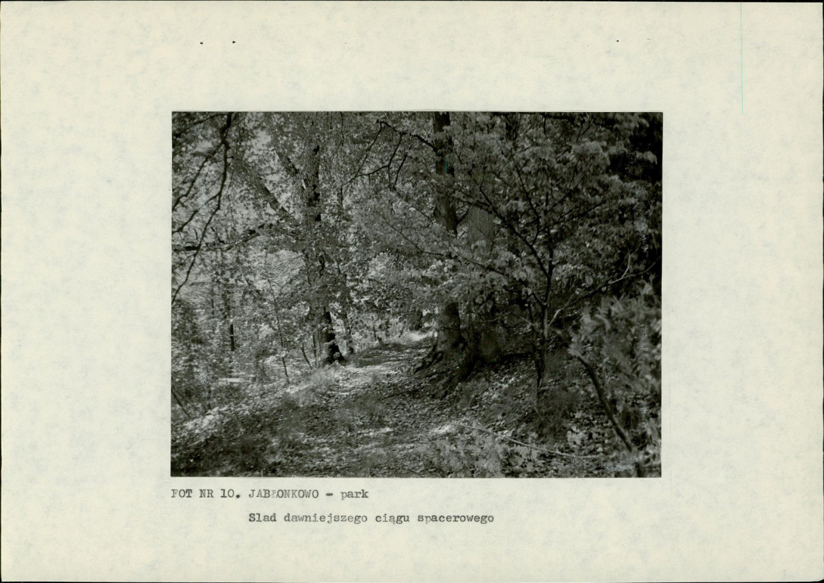 EP - Ewidencja parkowa, skan nr 25