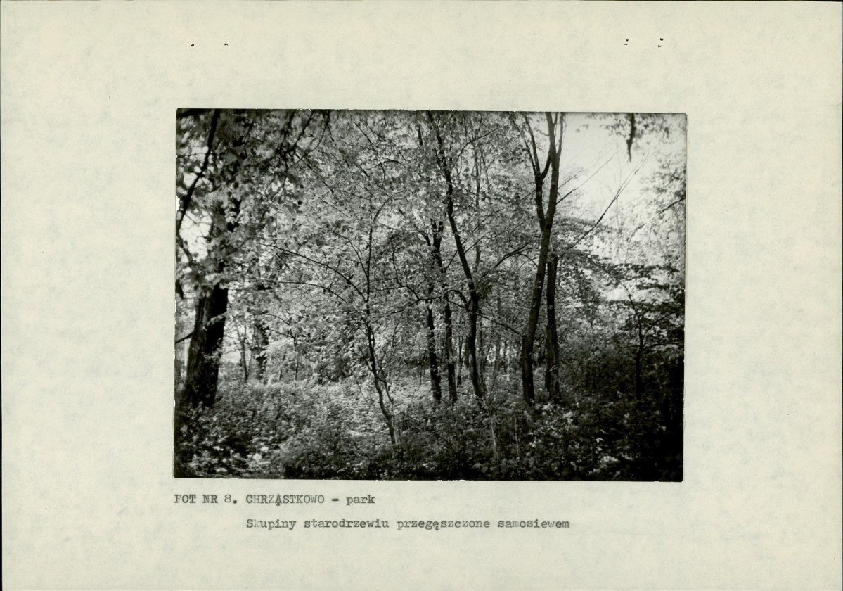 EP - Ewidencja parkowa, skan nr 22