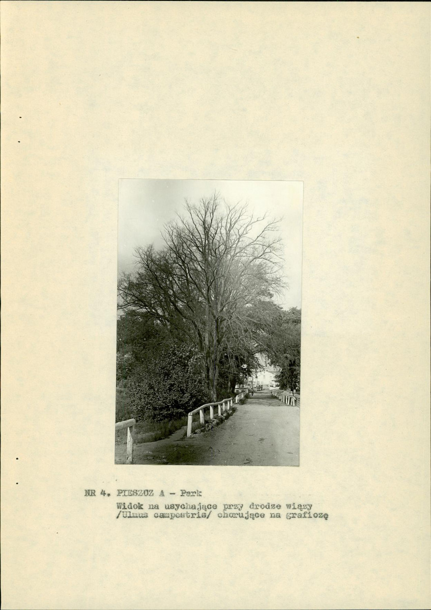 Ewidencja parkowa, skan nr 12