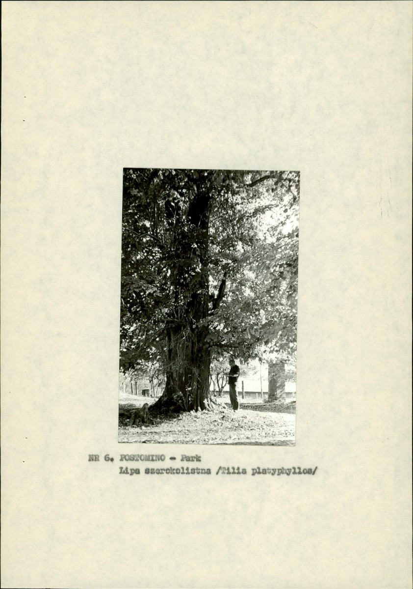 Ewidencja parkowa, skan nr 17