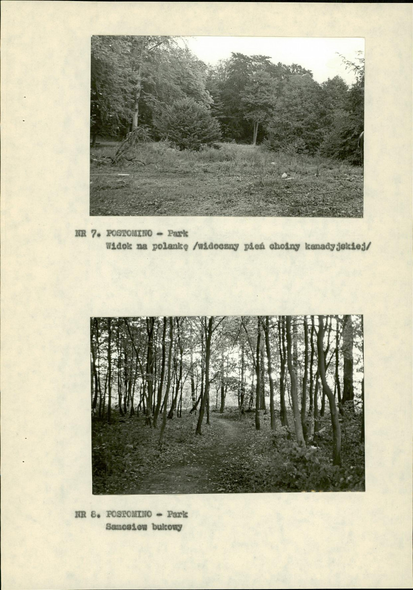 Ewidencja parkowa, skan nr 18