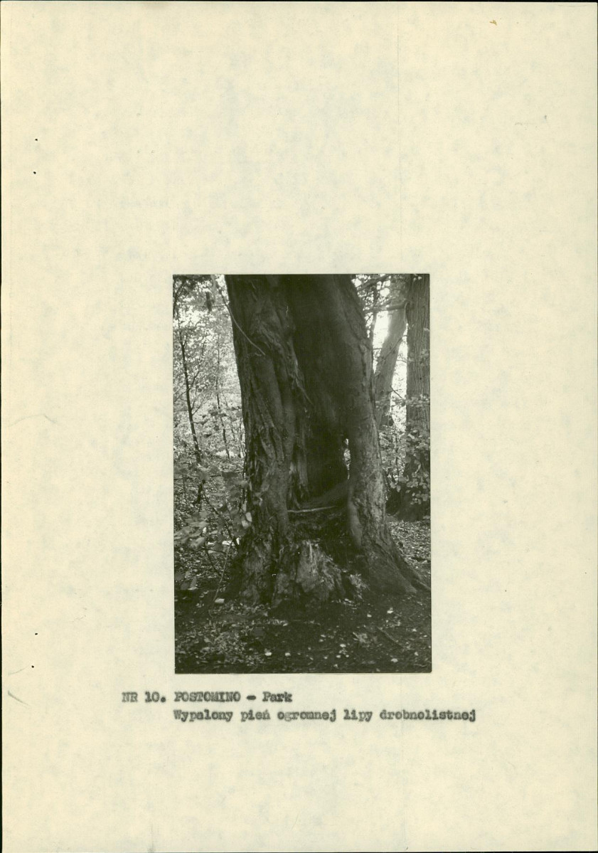 Ewidencja parkowa, skan nr 20