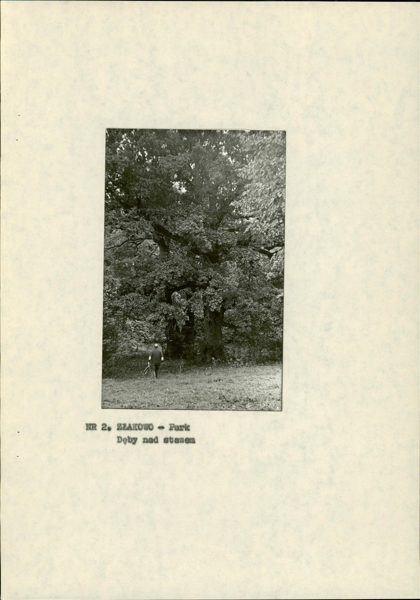 Ewidencja parkowa, skan nr 14