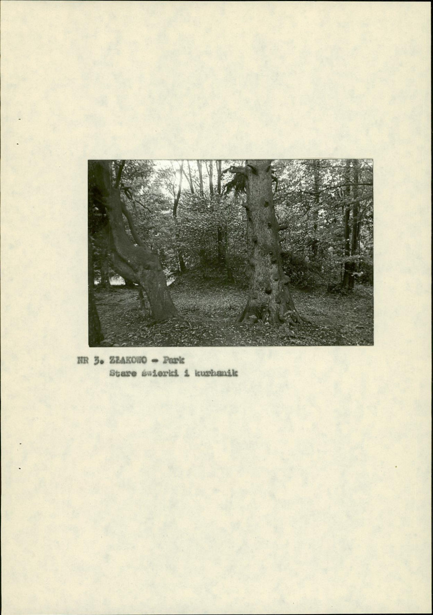 Ewidencja parkowa, skan nr 15