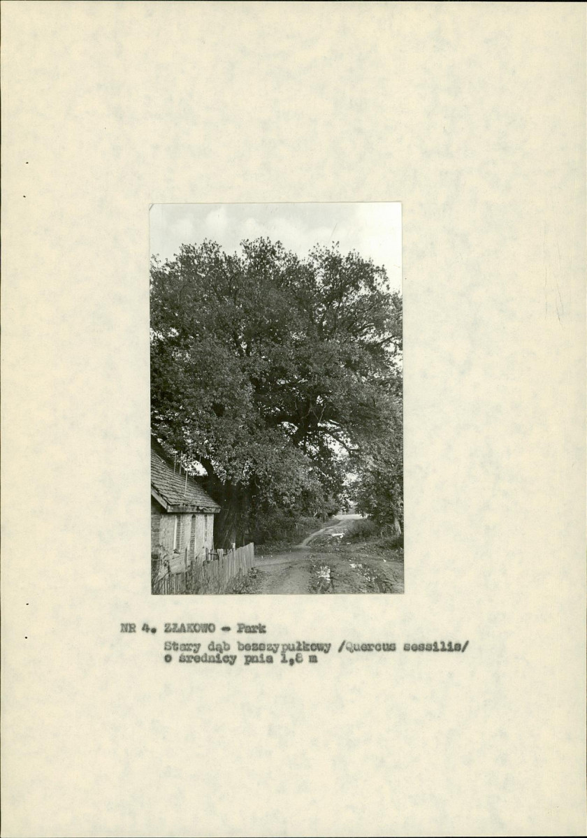 Ewidencja parkowa, skan nr 16