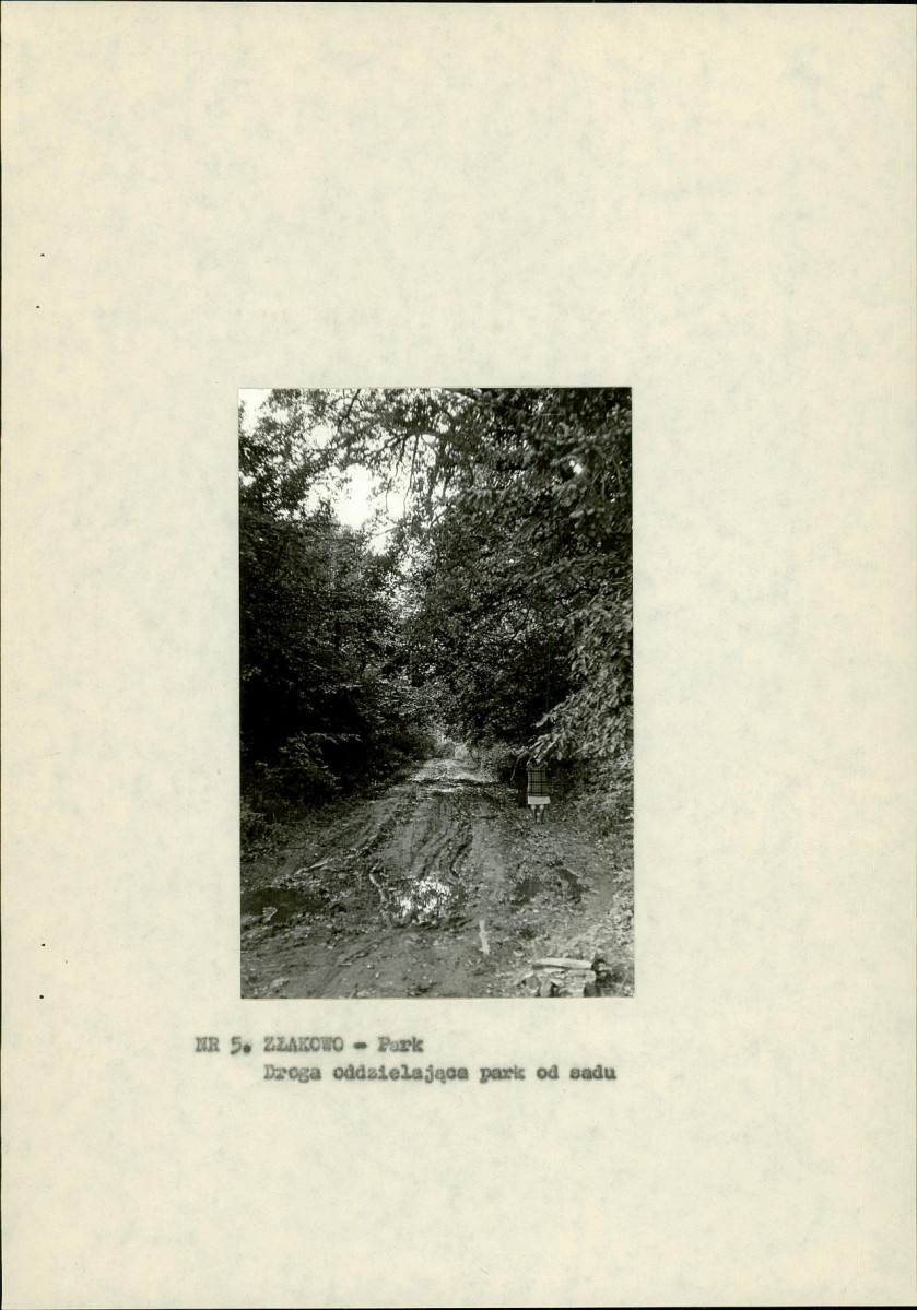 Ewidencja parkowa, skan nr 17