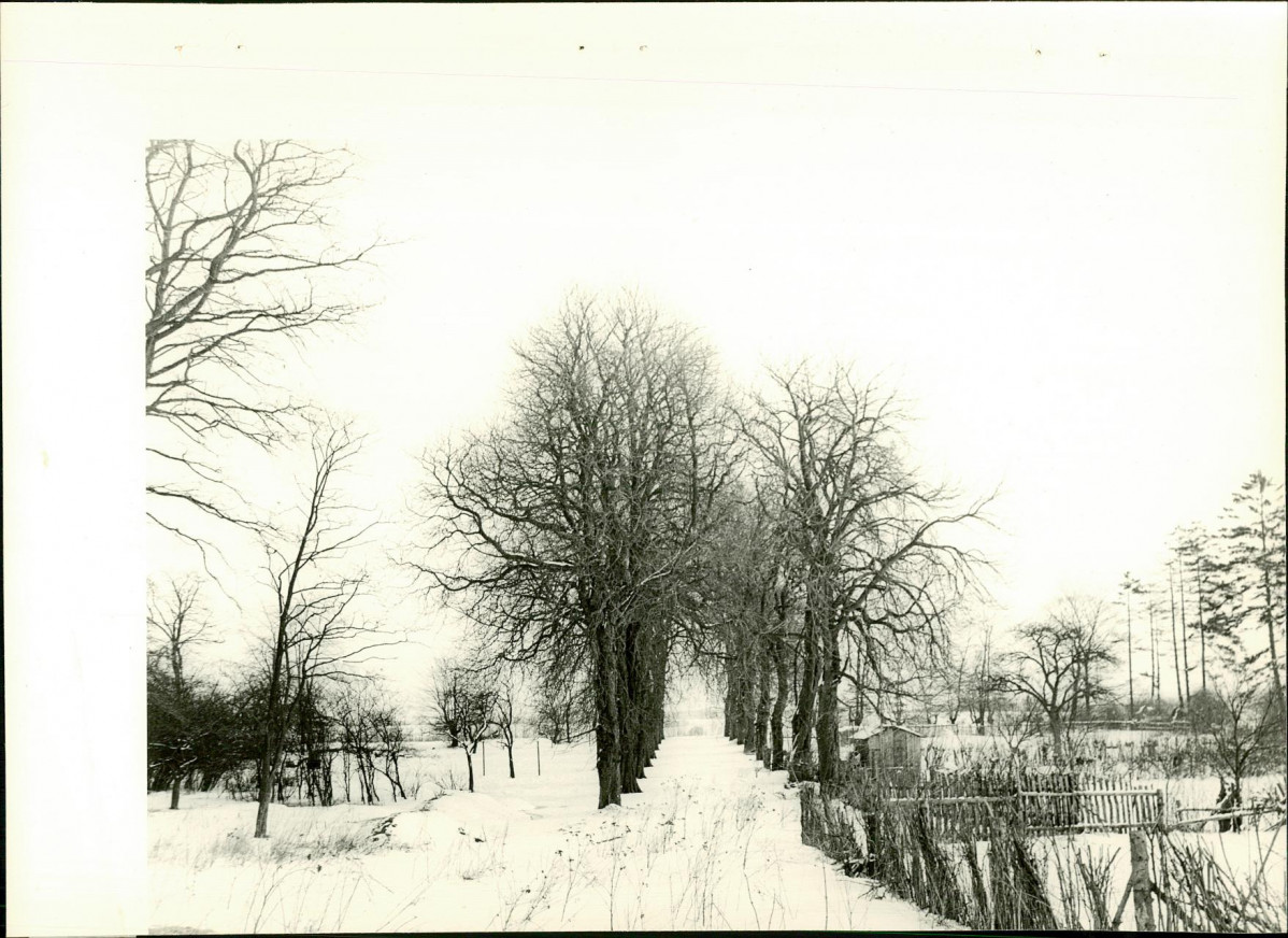 Ewidencja parkowa, skan nr 14