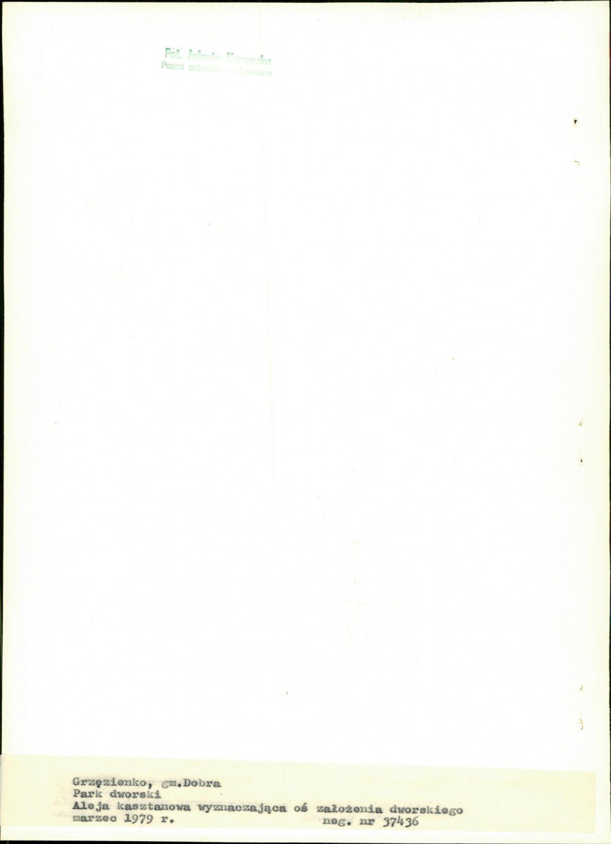 Ewidencja parkowa, skan nr 15