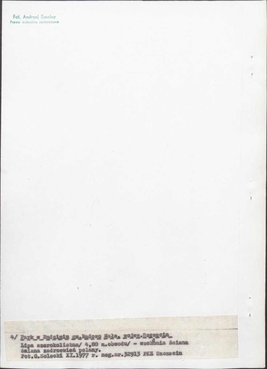 Ewidencja parkowa, skan nr 25
