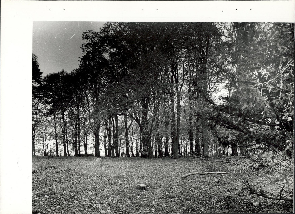 Ewidencja parkowa, skan nr 26