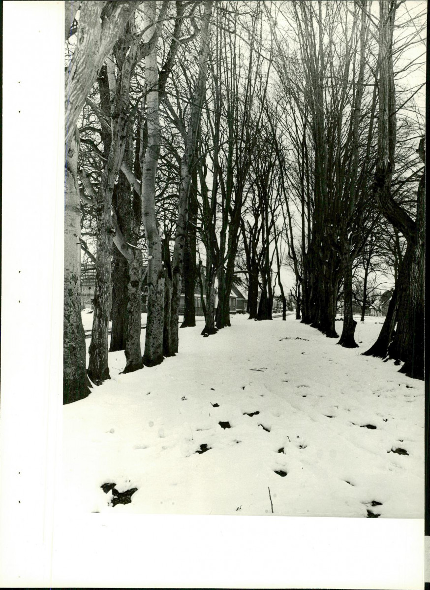 Ewidencja parkowa, skan nr 21