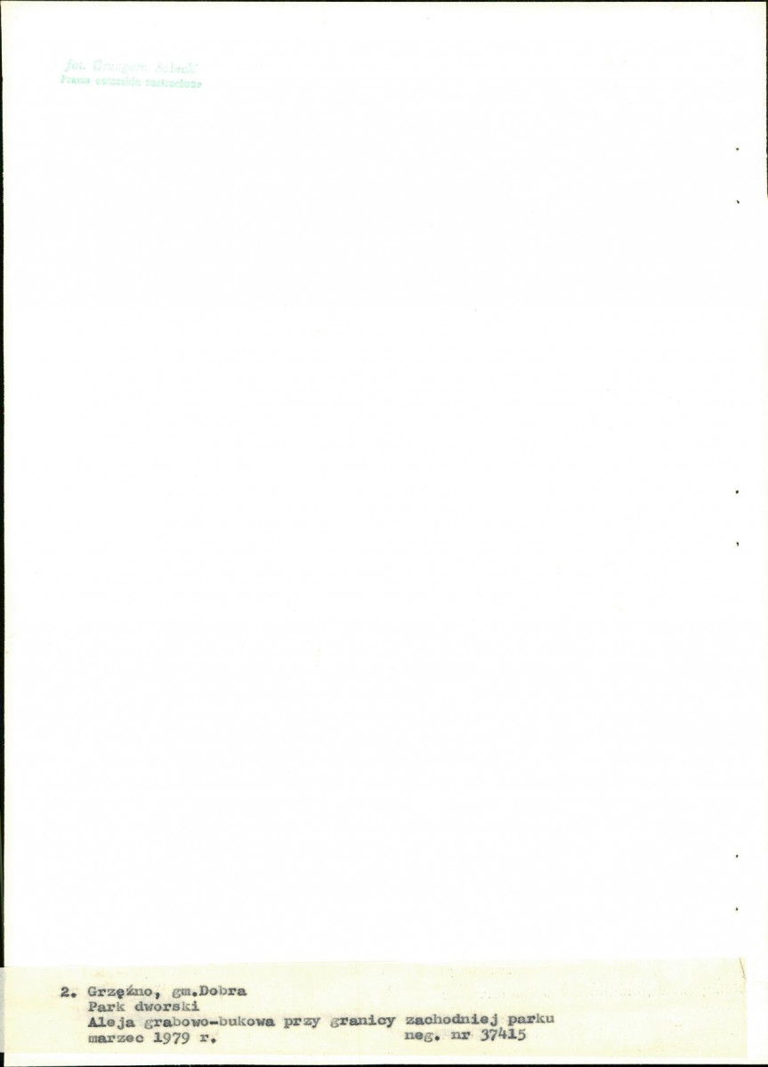 Ewidencja parkowa, skan nr 22