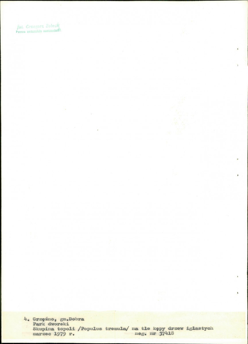Ewidencja parkowa, skan nr 26