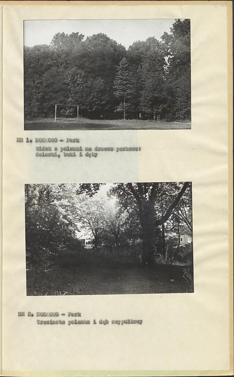 EP - Ewidencja parkowa, skan nr 11
