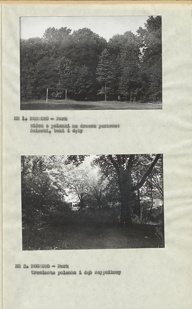 EP - Ewidencja parkowa, skan nr 13