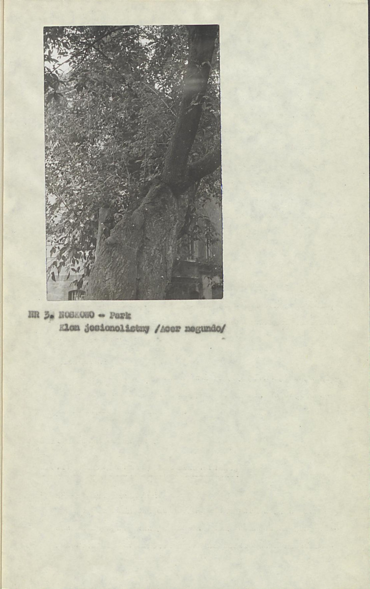EP - Ewidencja parkowa, skan nr 14
