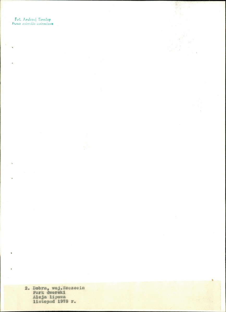Ewidencja parkowa, skan nr 21
