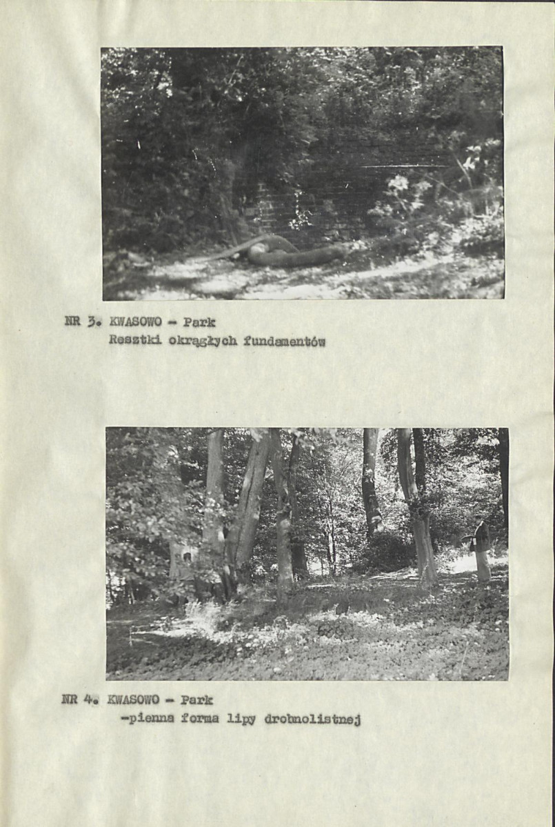 Ewidencja parkowa, skan nr 15