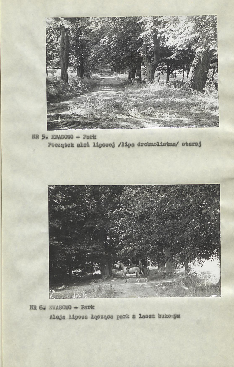 Ewidencja parkowa, skan nr 16