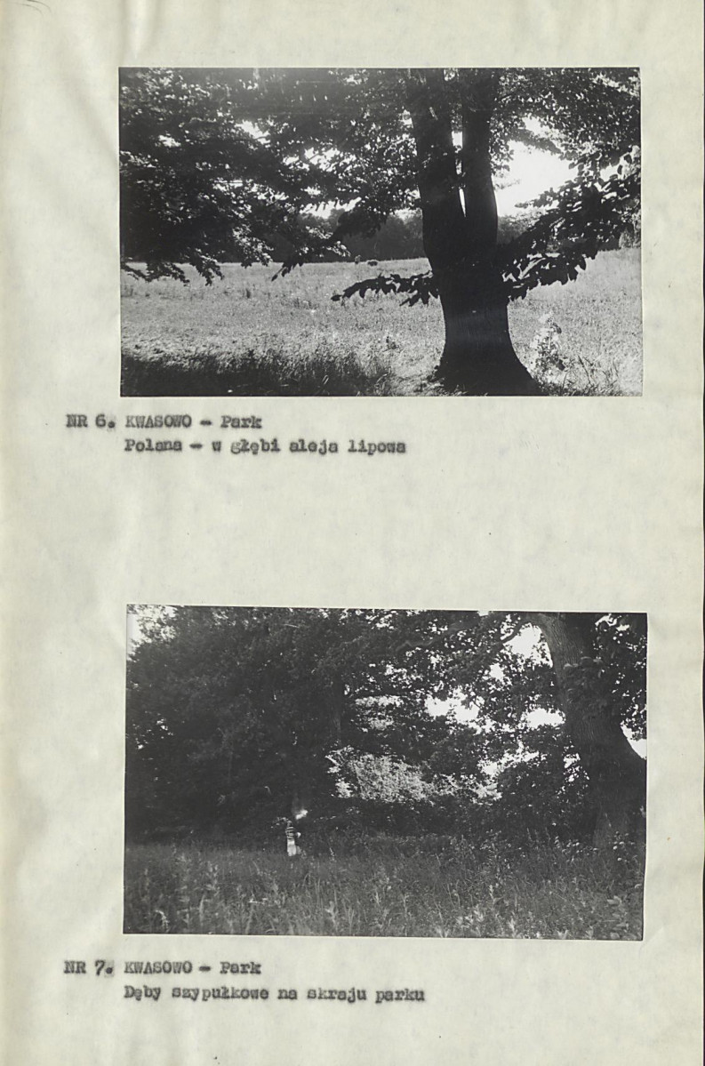 Ewidencja parkowa, skan nr 17