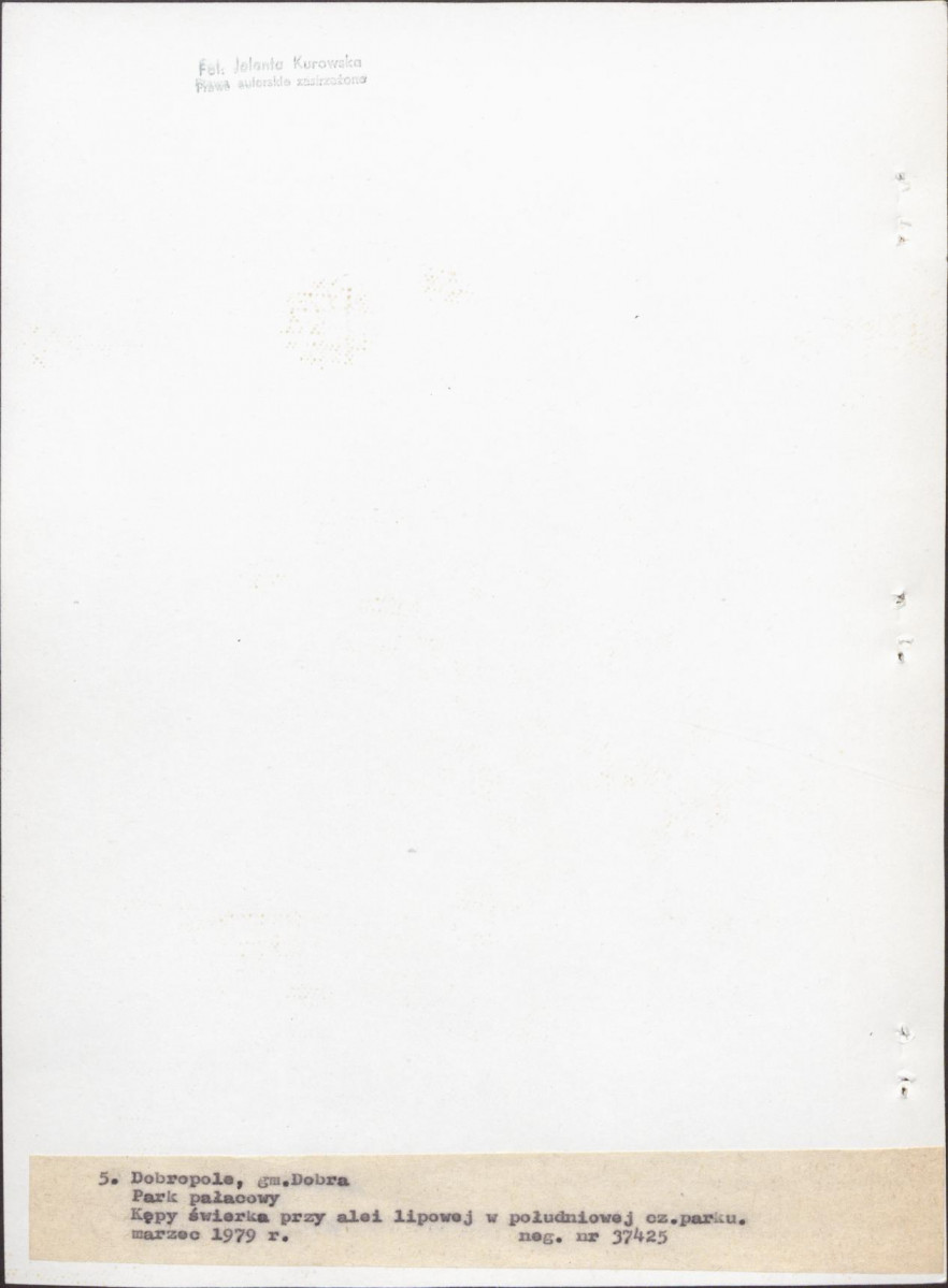 Ewidencja parkowa, skan nr 30