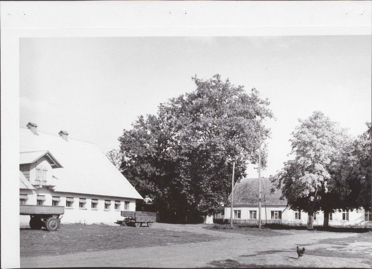 Ewidencja parkowa, skan nr 11