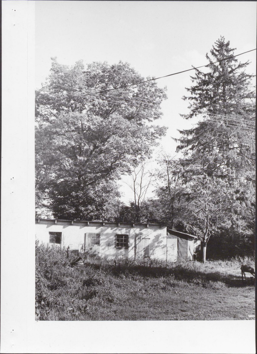 Ewidencja parkowa, skan nr 13