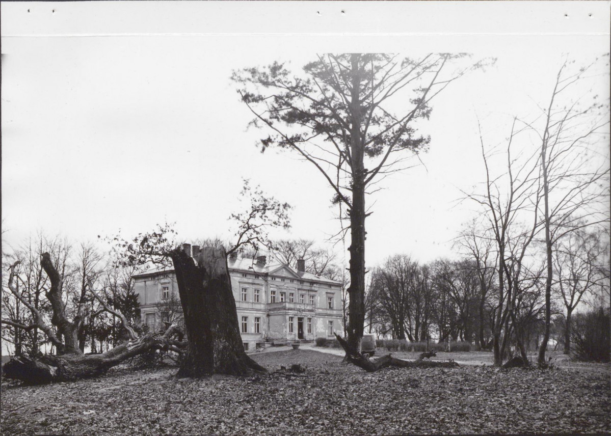 Ewidencja parkowa, skan nr 16