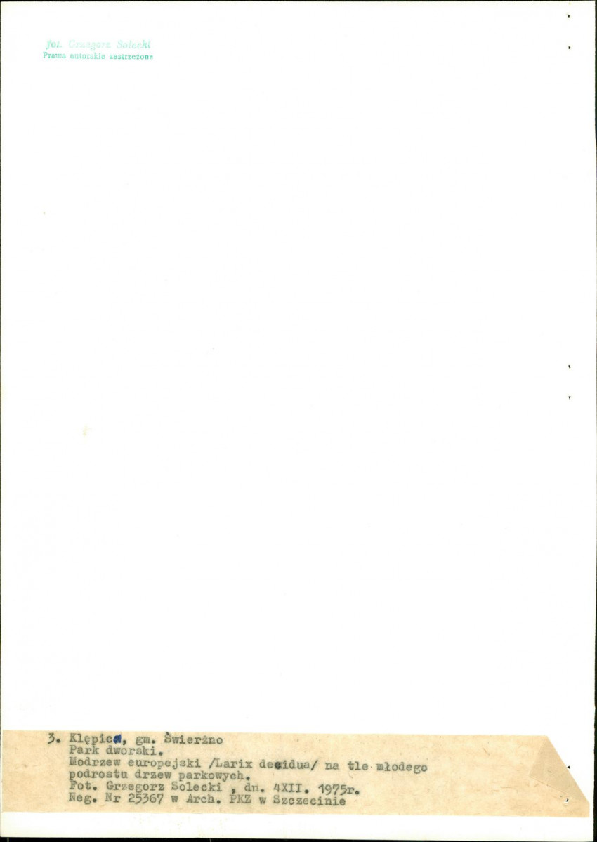 Ewidencja parkowa, skan nr 17