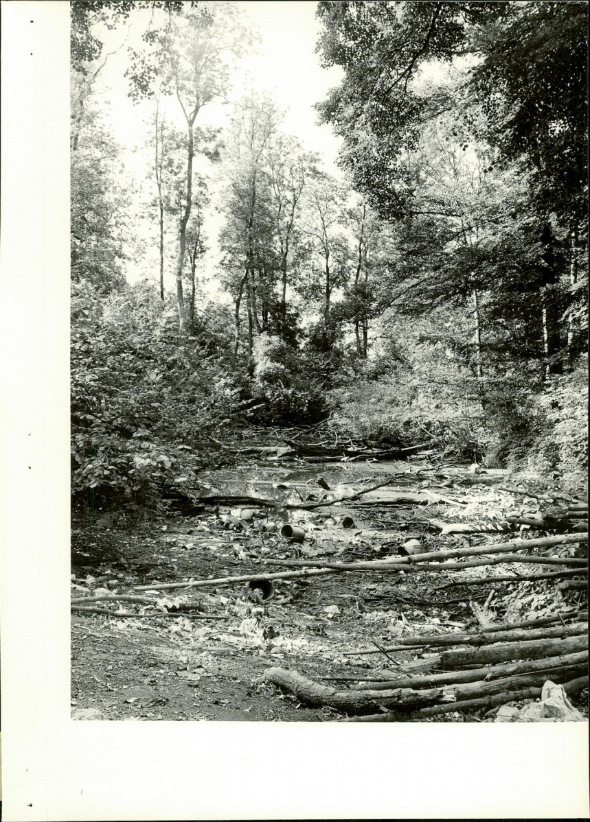 Ewidencja parkowa, skan nr 17