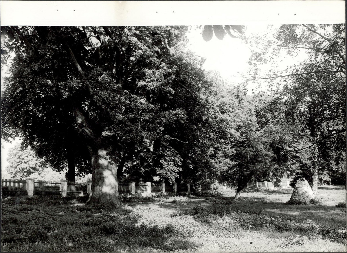 Ewidencja parkowa, skan nr 27