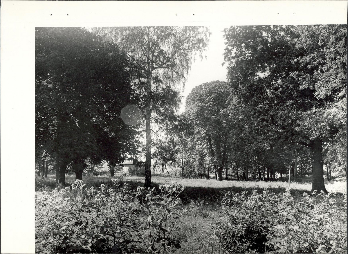 Ewidencja parkowa, skan nr 19