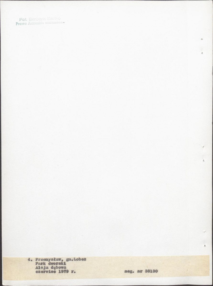 Ewidencja parkowa, skan nr 30