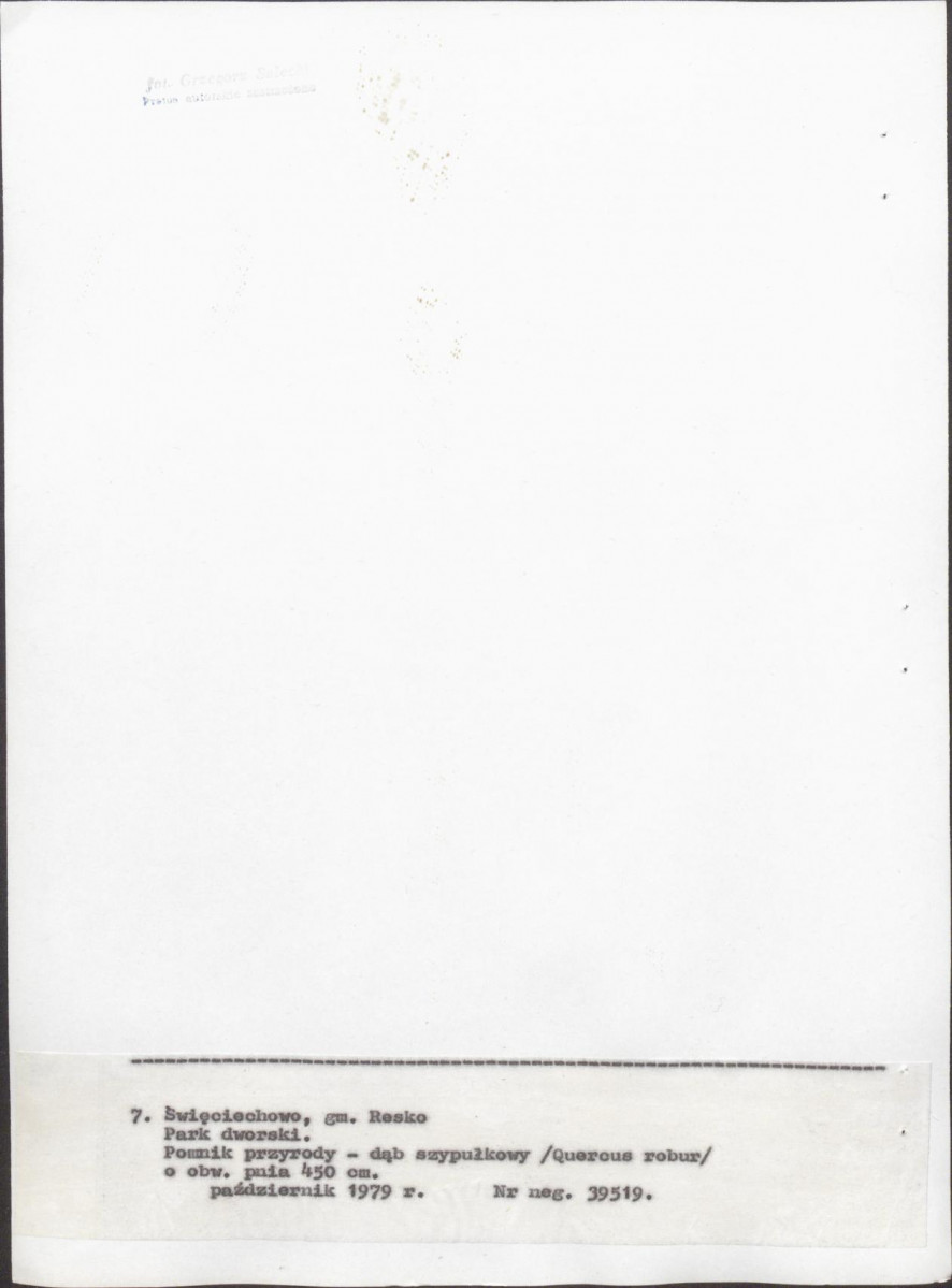 Ewidencja parkowa, skan nr 34