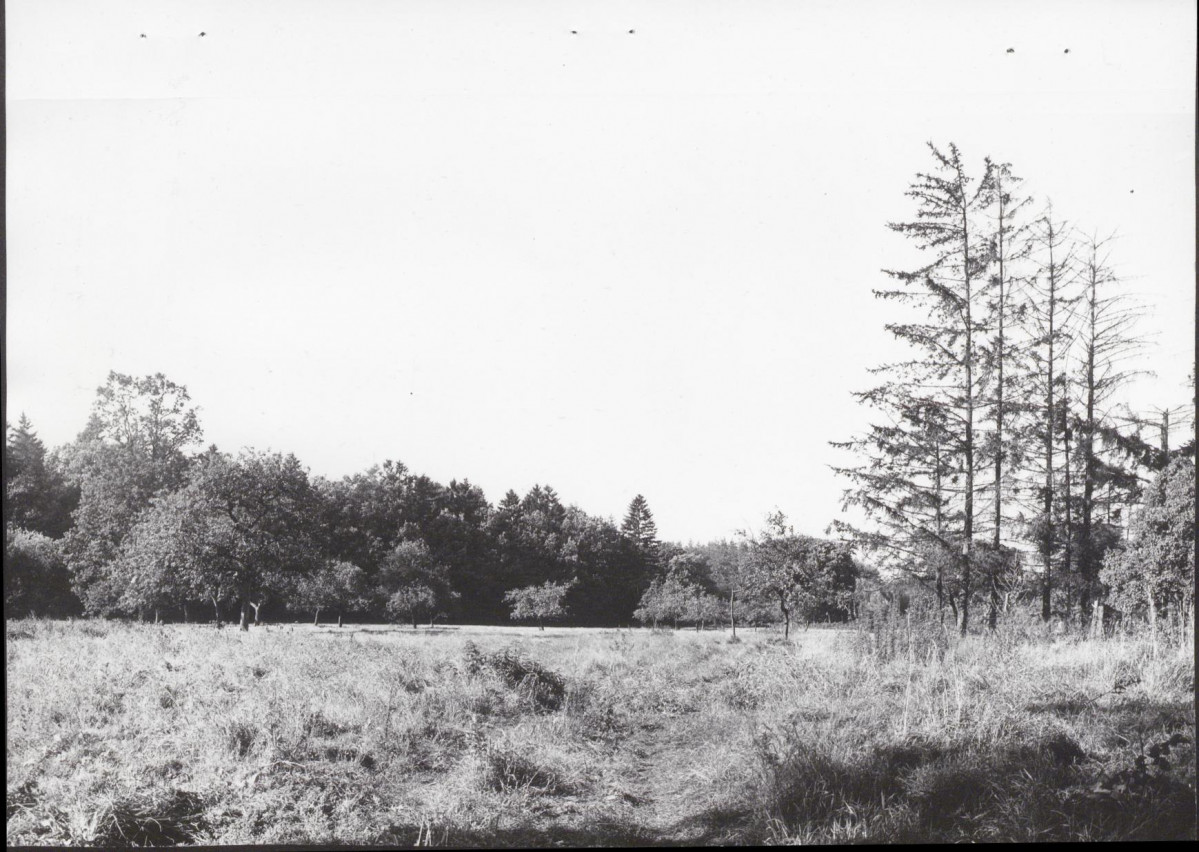Ewidencja parkowa, skan nr 37
