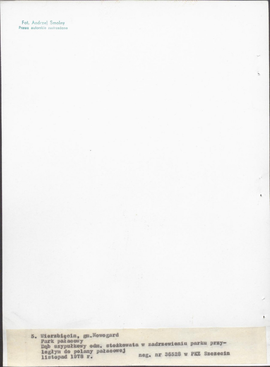 Ewidencja parkowa, skan nr 26