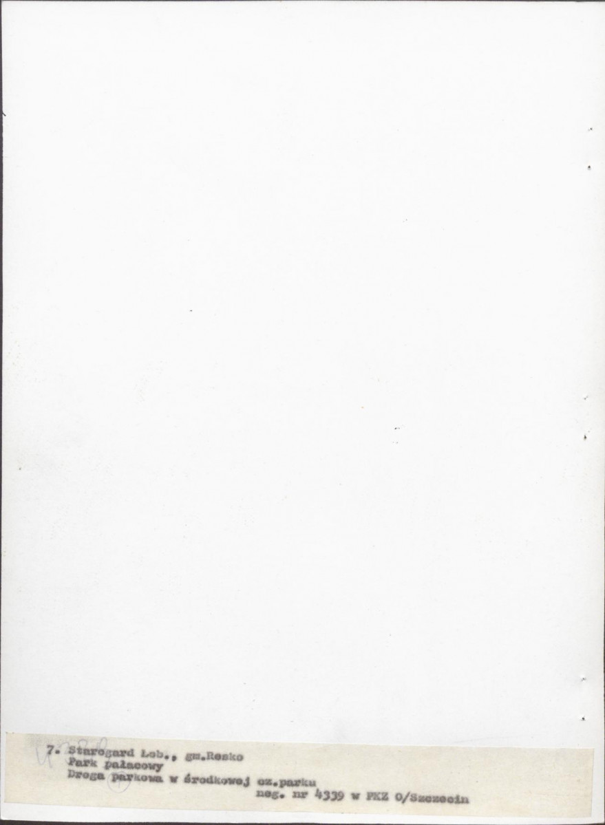 Ewidencja parkowa, skan nr 50