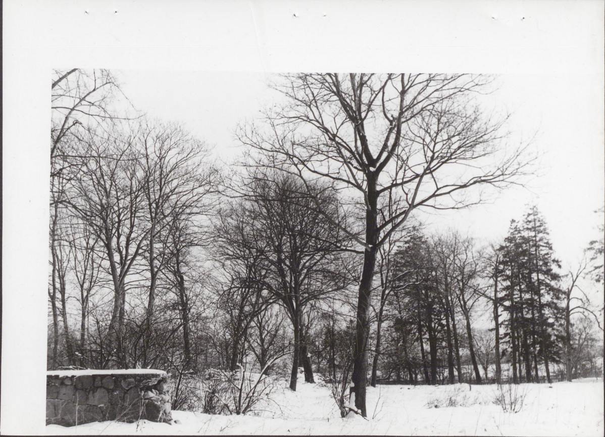 Ewidencja parkowa, skan nr 21