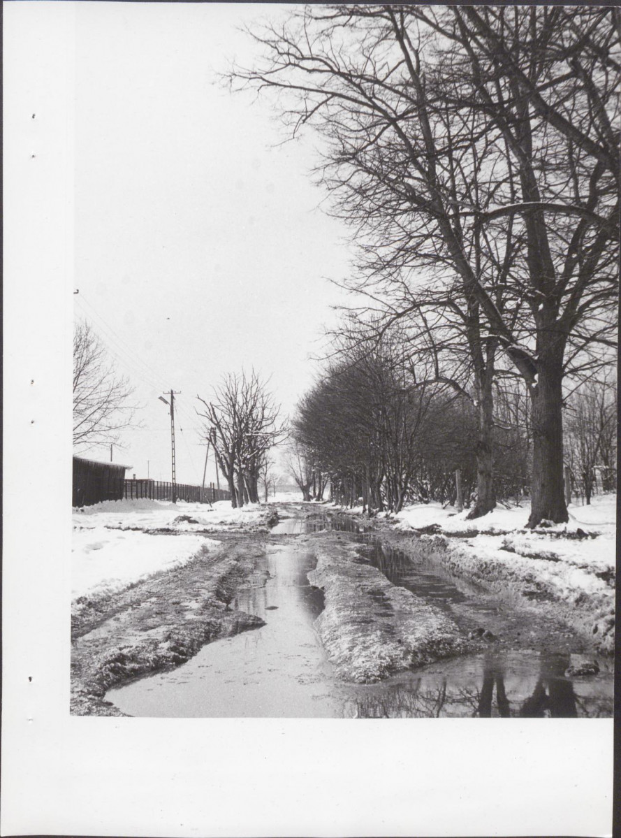 Ewidencja parkowa, skan nr 29
