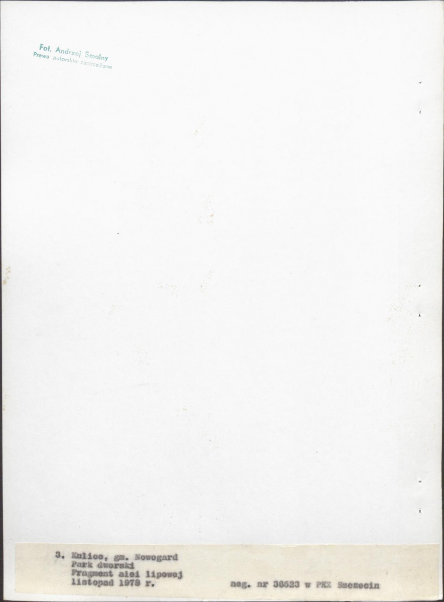 Ewidencja parkowa, skan nr 28