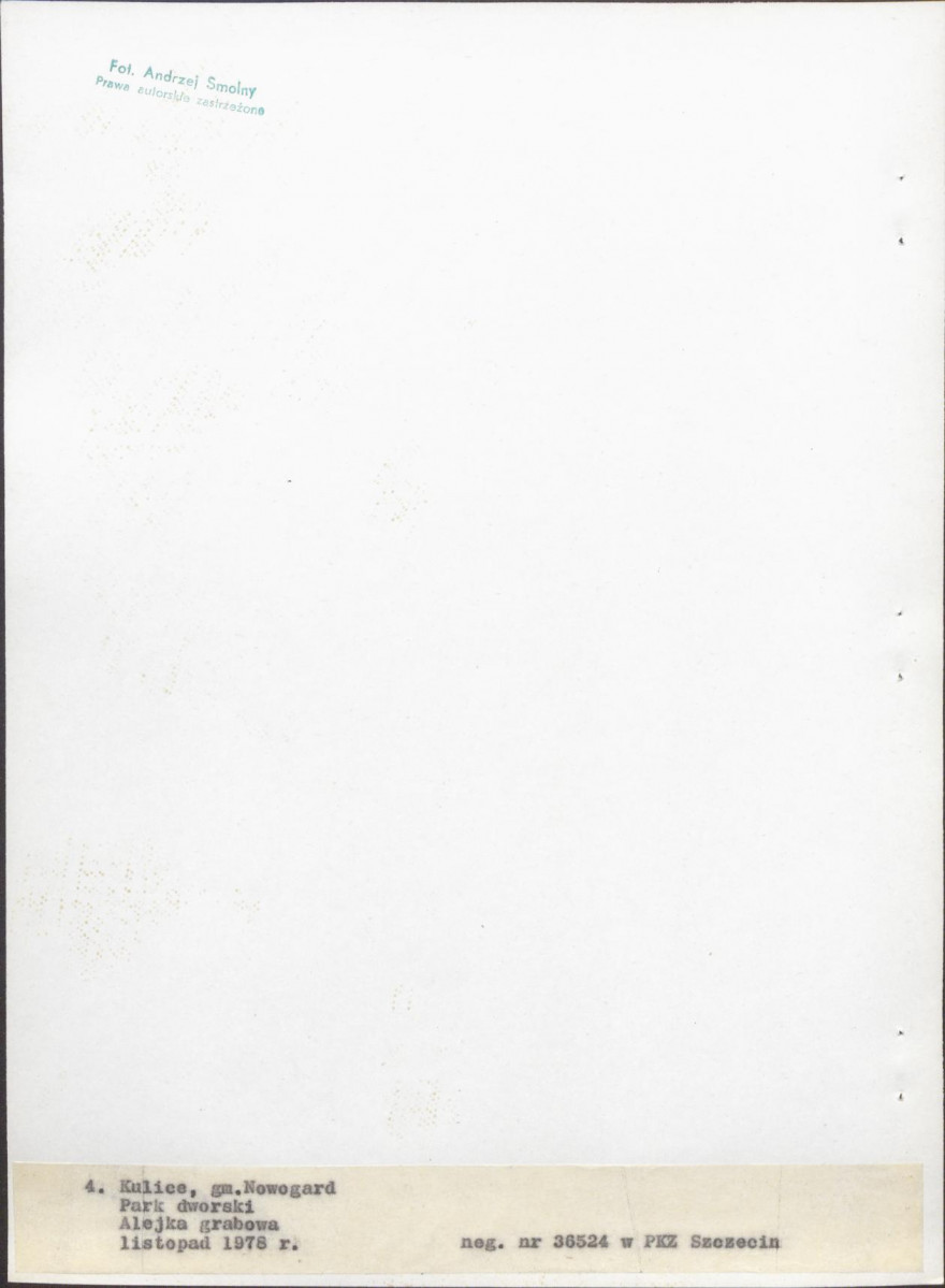 Ewidencja parkowa, skan nr 30