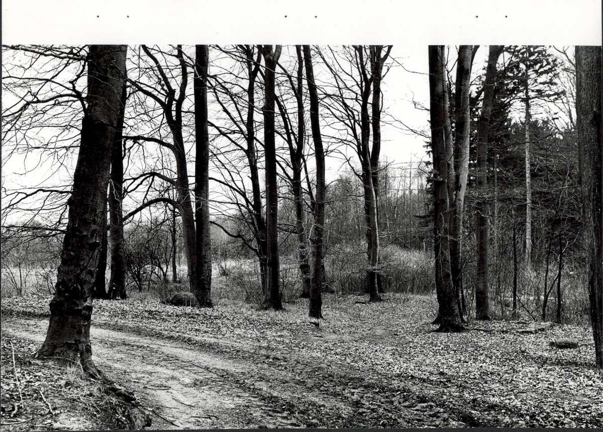 Ewidencja parkowa, skan nr 22