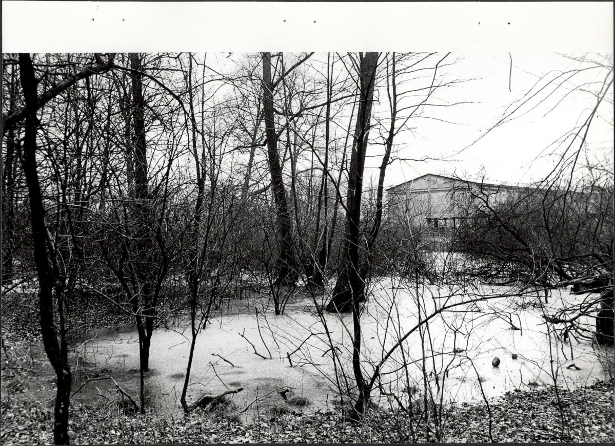 Ewidencja parkowa, skan nr 24