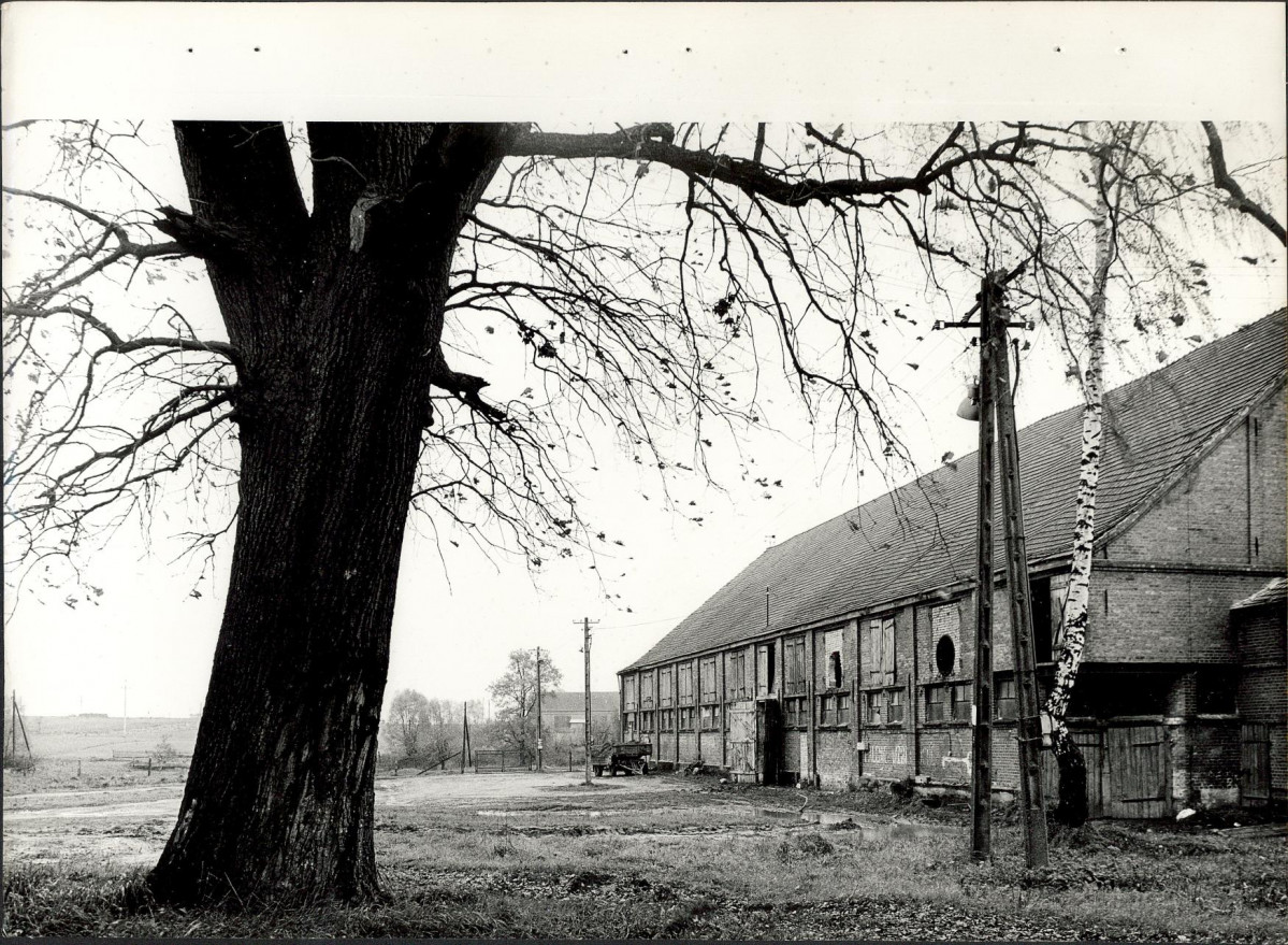Ewidencja parkowa, skan nr 22