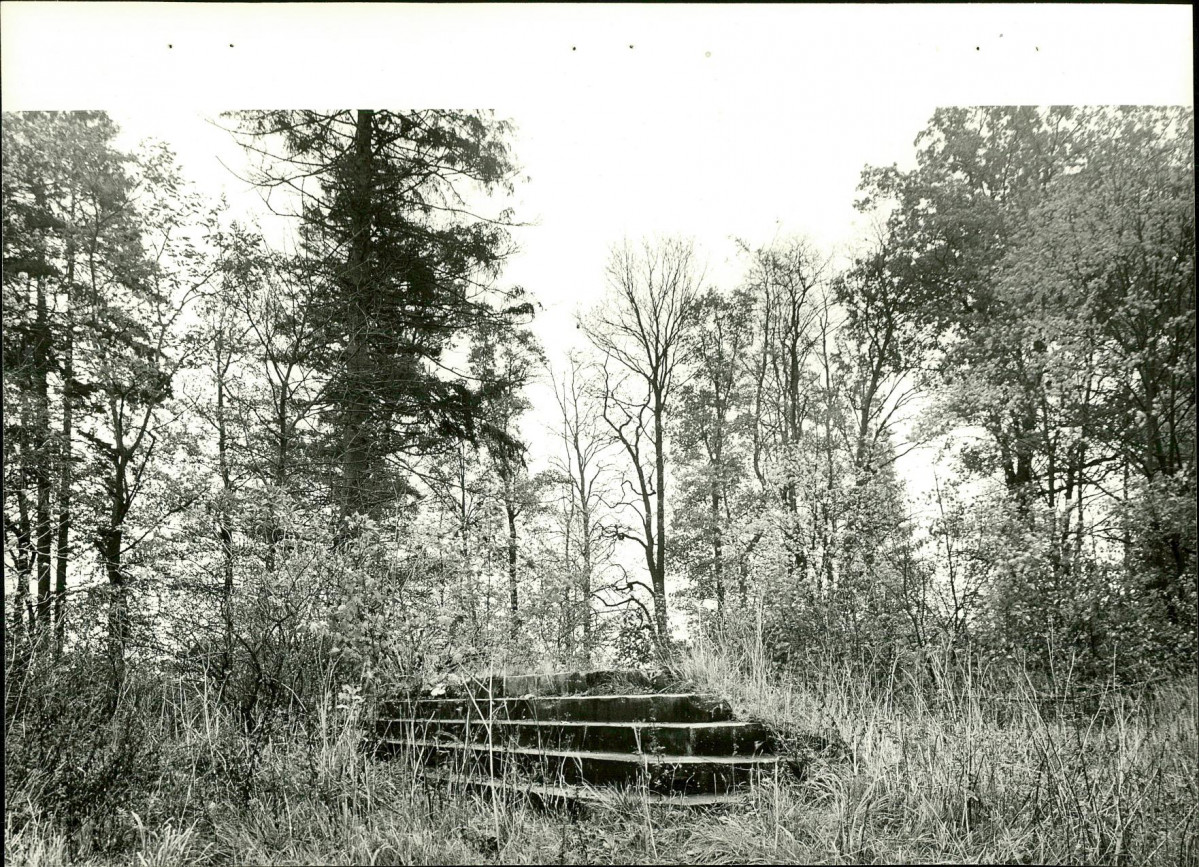 Ewidencja parkowa, skan nr 24
