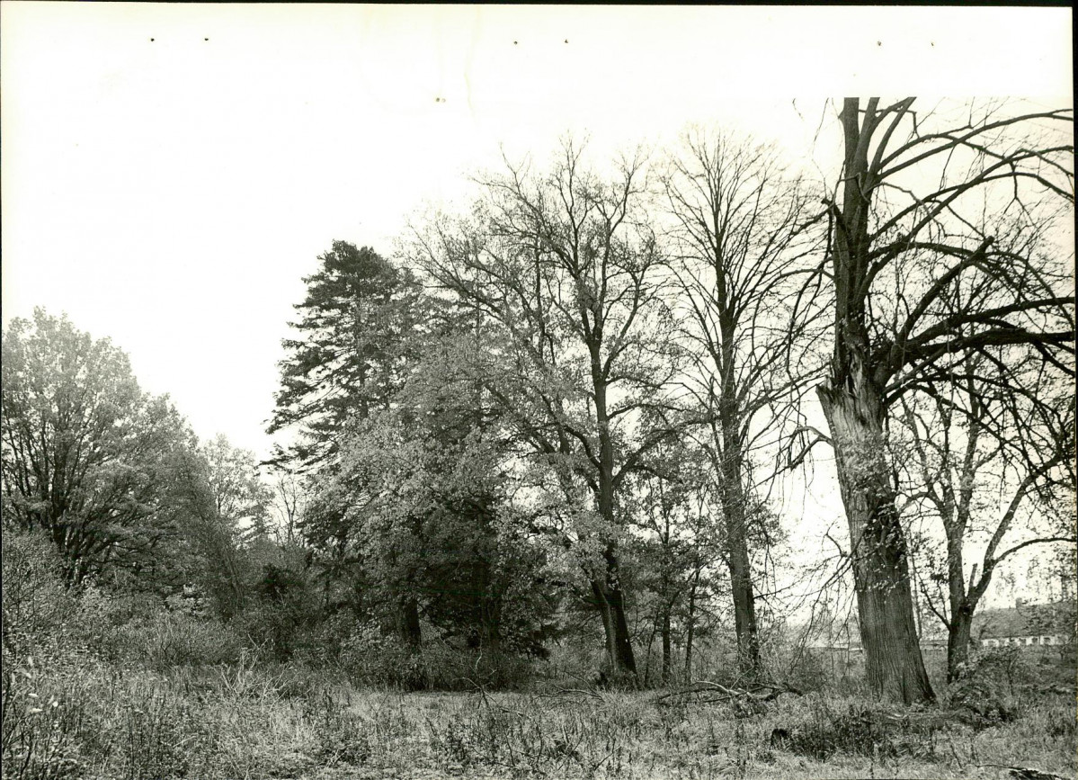 Ewidencja parkowa, skan nr 26